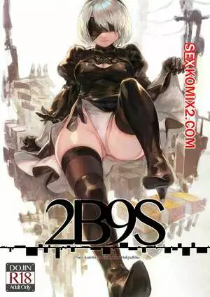 NieR Automata. 2B9S. Aoin