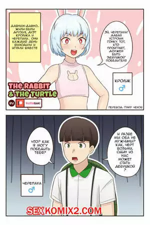 Кролик и Черепаха