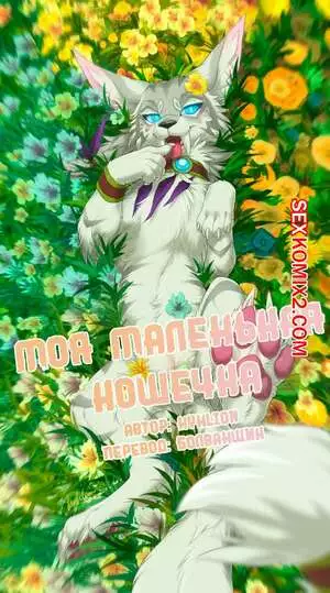 Моя Маленькая Кошечка