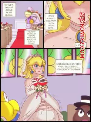 Принцесса Пич. Последнее дело