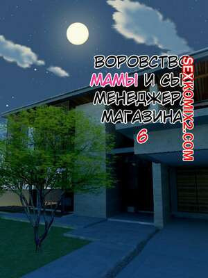 Воровство мамы и сын менеджера магазина. Часть 6