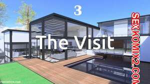 Визит в семью. Часть 3