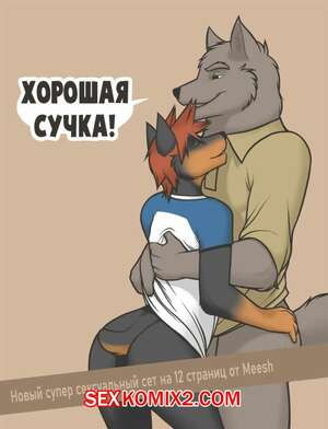 Хорошая сучка. Фурри