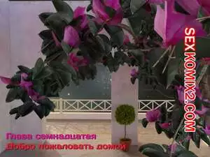 Зеркало Афродиты. Часть 17. Добро пожаловать домой